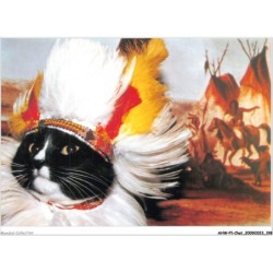 AHWP1-0100 - CHAT - chief sitting cat - published by the cat empire - michael weigall
