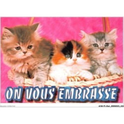 AHWP1-0114 - CHAT - on vous embrasse - photo sunset