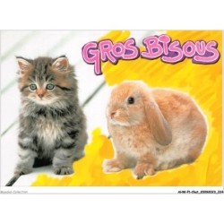 AHWP1-0113 - CHAT - gros bisous - photo sunset