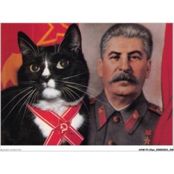 AHWP1-0099 - CHAT - moscow moggy - published by the cat empire - michael weigall