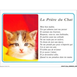 AHWP1-0125 - CHAT - la prière du chat
