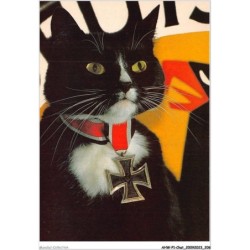 AHWP1-0104 - CHAT - teuton tom - published by the cat empire - michael weigall