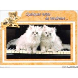 AHWP1-0110 - CHAT - quelques notes de tendresse