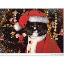 AHWP1-0096 - CHAT - santa claws - published by the cat empire