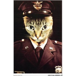 AHWP1-0090 - CHAT - cop cat - photograph alfred gescheidt