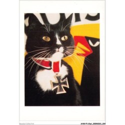 AHWP1-0103 - CHAT - teuton tom - published by the cat empire - michael weigall