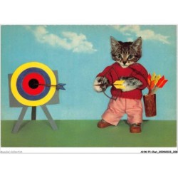 AHWP1-0105 - CHAT - chat habillé tirant une flèche