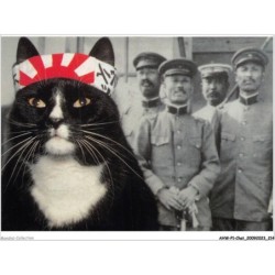 AHWP1-0108 - CHAT - tokyo tiger -  published by the cat empire - michael weigall