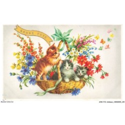 AVWP13-0779-ANIMAUX - Chats - Bonne fete - Fleurs