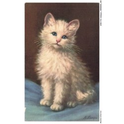 AVWP13-0777-ANIMAUX - Chat