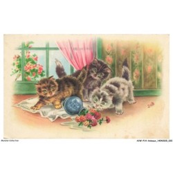 AVWP14-0791-ANIMAUX - Chats