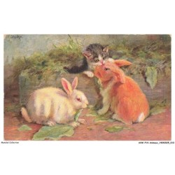 AVWP14-0786-ANIMAUX - Chat - Lapins