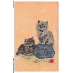 AVWP14-0790-ANIMAUX - Chats
