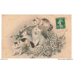 AVWP14-0789-ANIMAUX - Chats