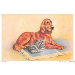 AVWP14-0787-ANIMAUX - Chat - Chien