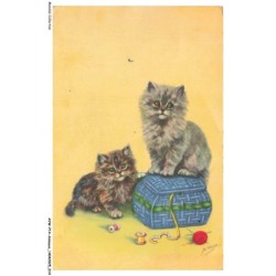 AVWP14-0788-ANIMAUX - Chats