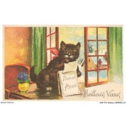 AVWP13-0780-ANIMAUX - Chats - Meilleurs voeux - Bonne année