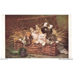 ASBP2-0074-ANIMAUX - CHATS DANS UN PANIER