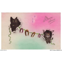 ASBP2-0070-ANIMAUX - CHATS - BONNE ANNEE