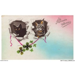 ASBP2-0071-ANIMAUX - CHATS - BONNE ANNEE