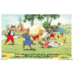 ASBP2-0085-ANIMAUX - CHATS - WOLLEY BALL PAR ICI WOLLEY BALL PAR LA