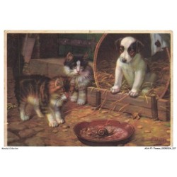 AOAP7-0564-ANIMAUX - chatons chien et escargot