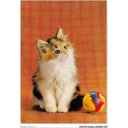 AJQP10-0966 - ANIMAUX - CHAT