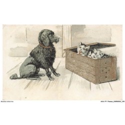 AOAP7-0558-ANIMAUX - chats et chien