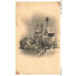 AOAP7-0566-ANIMAUX - chats et vin