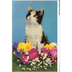 AKYP7-0652-CHAT - CHAT ET FLEURS