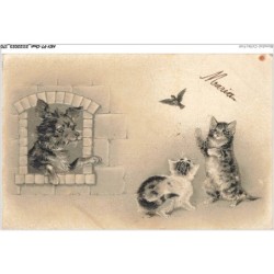 AKYP7-0694-CHAT - CHATS ET CHIEN ET PAPILLONS