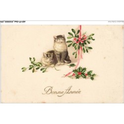 AKYP7-0647-CHAT - CHATS ET FLEURS