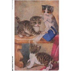 AKYP7-0638-CHAT - TROIS CHATS
