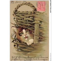 AKYP7-0644-CHAT - CHAT DANS UN PANIER
