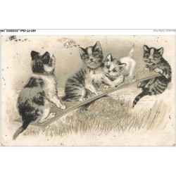 AKYP7-0681-CHAT - QUATRE CHATS