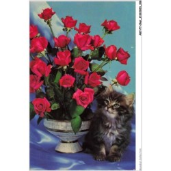 AKYP7-0662-CHAT - CHAT ET FLEURS