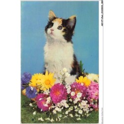 AKYP7-0651-CHAT - CHAT ET FLEURS