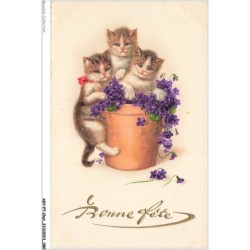AKYP7-0649-CHAT - BONNE FETE - TROIS CHATS DANS UN POT DE FLEURS