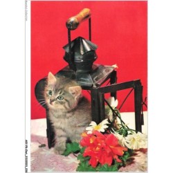 AKYP8-0718-CHAT - CHATON ET FLEURS