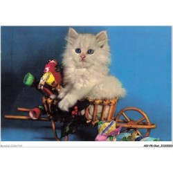 AKYP8-0700-CHAT - CHATON SUR VELO