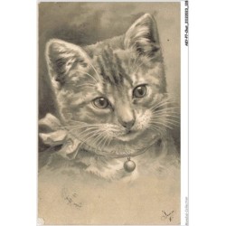 AKYP7-0673-CHAT - PORTRAIT CHAT AVEC COLLIER