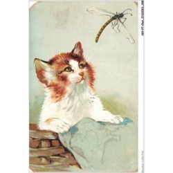 AKYP7-0658-CHAT - CHAT ET INSECTE