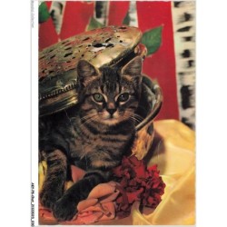 AKYP8-0715-CHAT - CHAT ET FLEURS