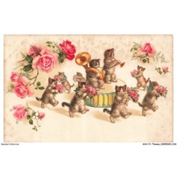 AOAP1-0010-ANIMAUX -  des chats jouant a la musique