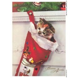 AQYP12-0766-ANIMAUX - Chat - Bonne année