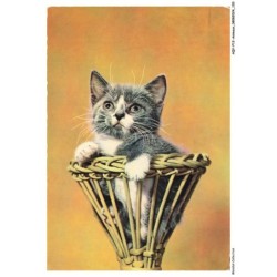 AQYP12-0762-ANIMAUX - Chat