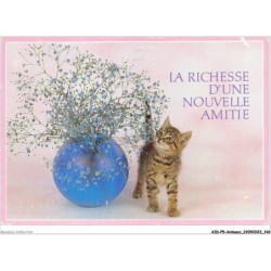 AIDP5-ANIMAUX-0458 - la richesse d'une nouvelle amitié