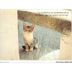 AIDP5-ANIMAUX-0427 - la confiance en soi émane de la confiance que les autres ont en toi
