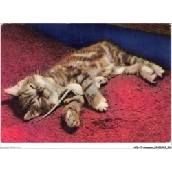 AIDP5-ANIMAUX-0438 - docteur lancestre - 69 rue louis blanc - rouen