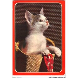 AIDP5-ANIMAUX-0453 - chat dans un panier
